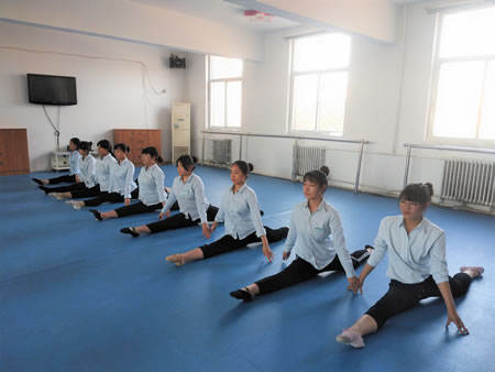 幼師類專業(yè)